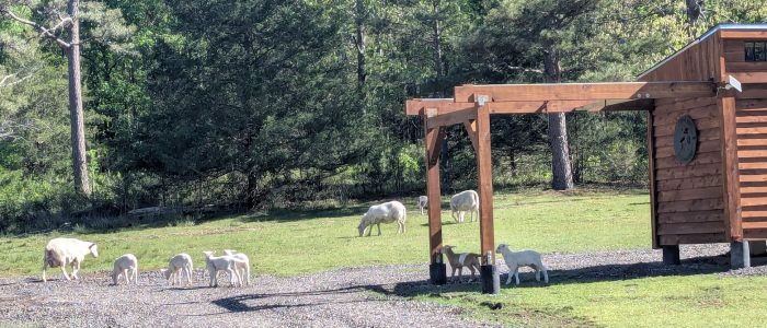 PXL_20250421_144437168