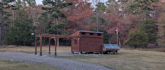 PXL_20251115_232221239